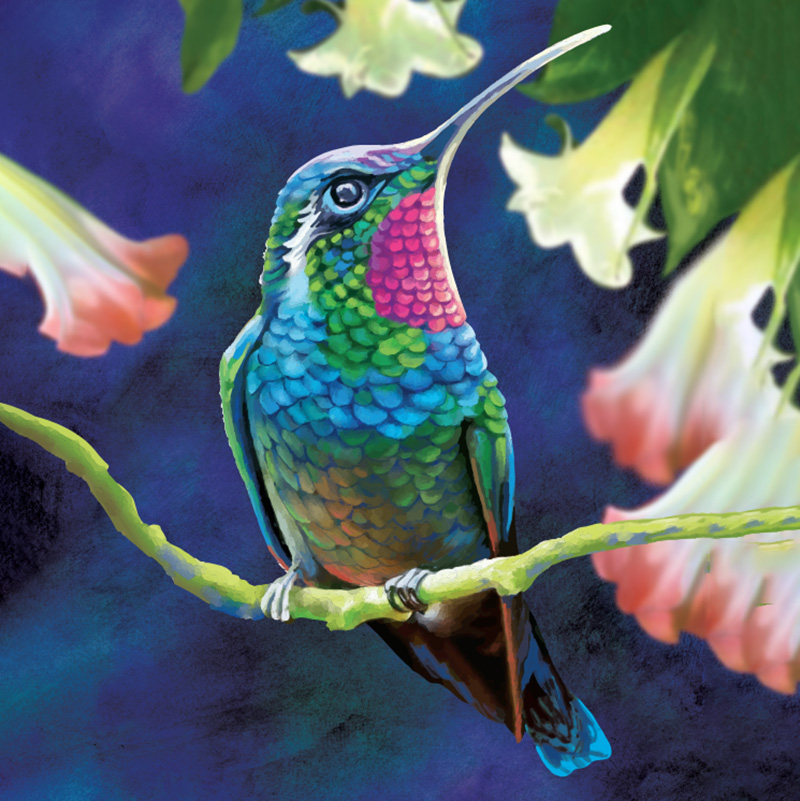 OEM Hummingbird diamond art dot painting canvas kit Supplier and  Manufacturer